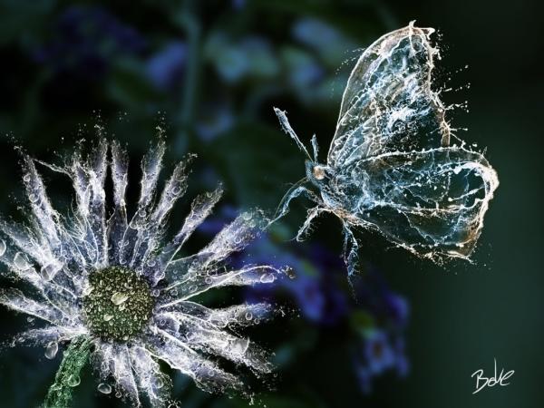 Liquid Animals liquid animals by boke 02 Liquid Animals
