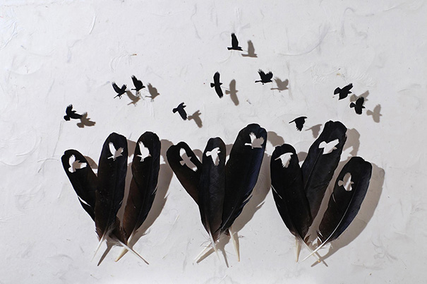 20 Feather Art by Chris Maynard mind blowing feather art by Chris Maynard 4 20 Feather Art by Chris Maynard