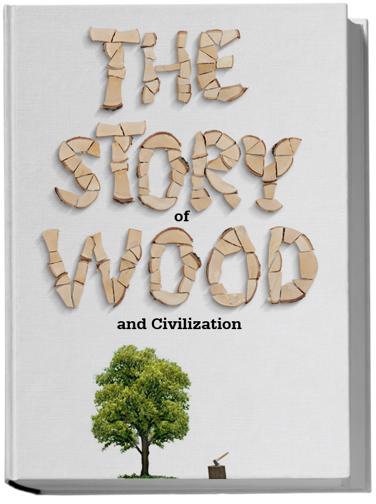 pieces of wood font poster1 How to spilt wood correctly? Wooden font