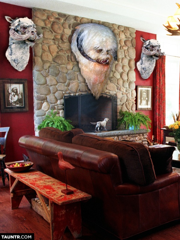 star wars taxidermy by jon defreest Wampa Head Star Wars Taxidermy