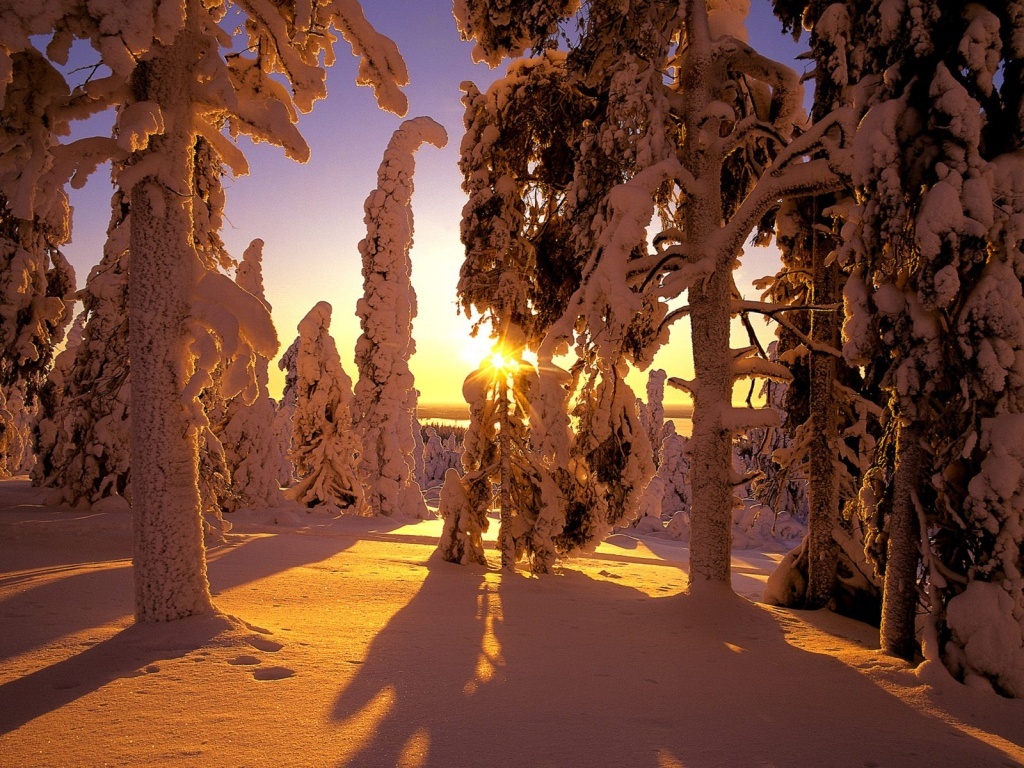 Fantastic Sunlight Photos sunset 1 Fantastic Sunlight Photos