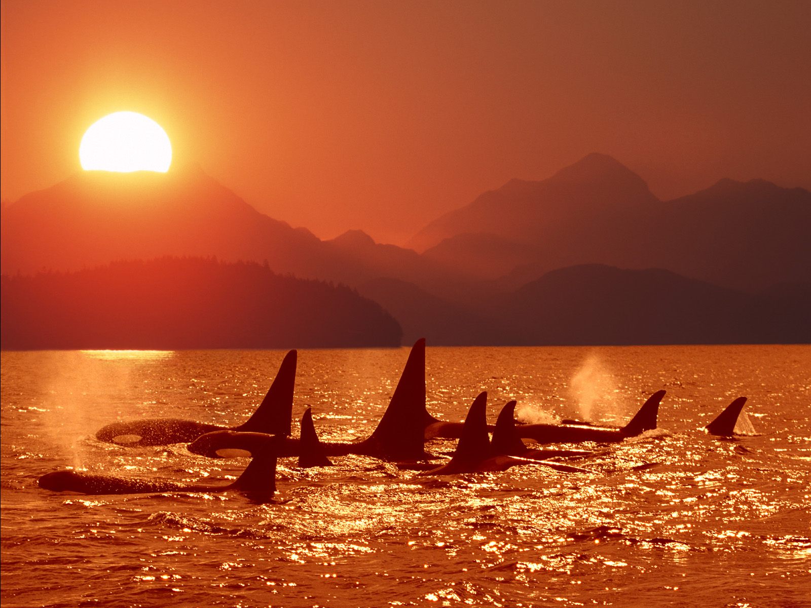 Fantastic Sunlight Photos sunset 2 Fantastic Sunlight Photos