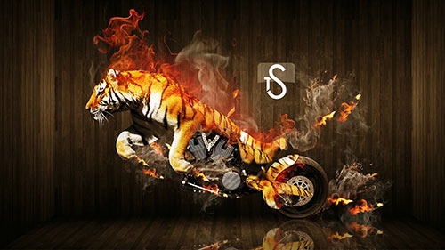 26 Brilliant Photo Manipulations of Animals tiger motorbike 26 Brilliant Photo Manipulations of Animals