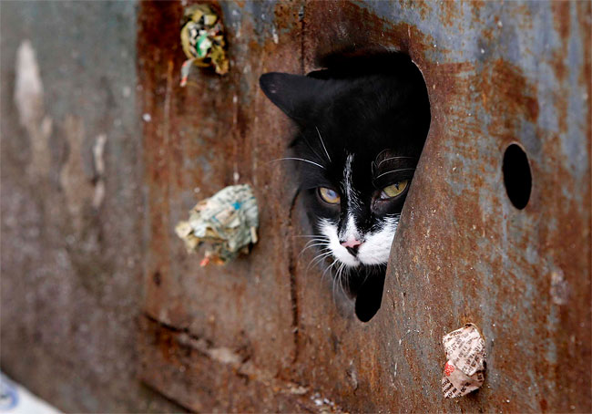 Photo of the Day: Cat Hole 130 Photo of the Day: Cat Hole
