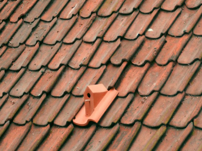 276 650x487 Birdhouse RoofTile, helps turn your roof into a birdhouse