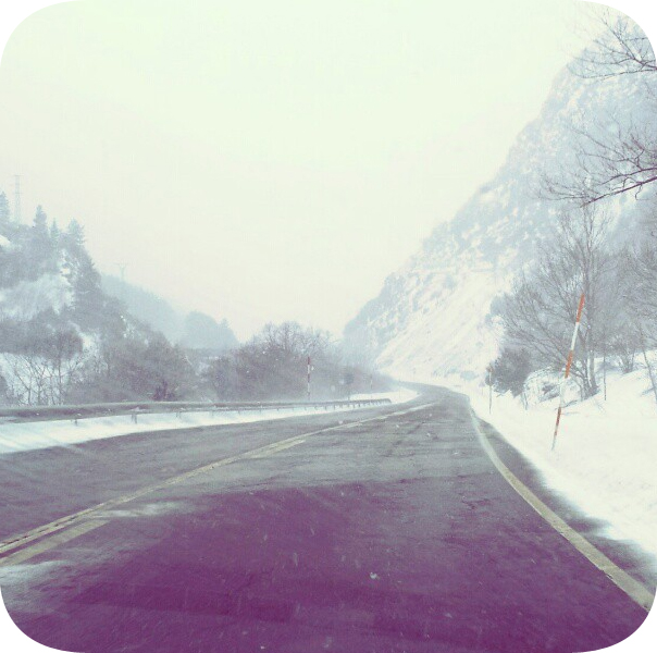 341 LandScapes in the Pakrolsky Instagram Album