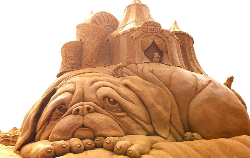 26 New and Realistic Sand Sculpture Artworks 6082677951 a400cc7042 b 26 New and Realistic Sand Sculpture Artworks