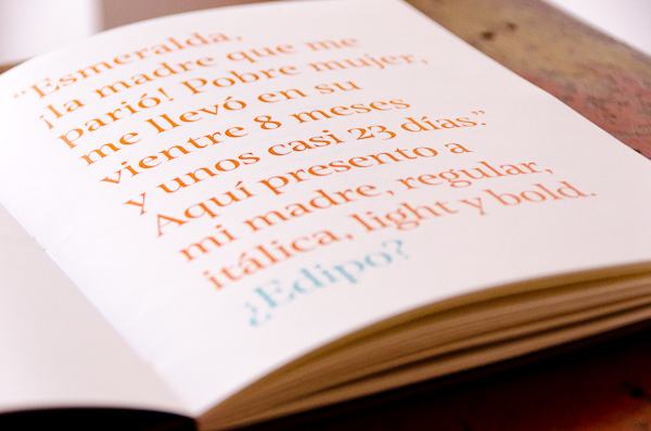 Typeface Design Project Typeface Design Project