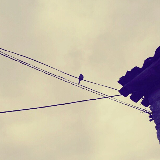 Captura de pantalla 2013 02 05 a las 12.02.50 CURIOUS INSTAGRAM ALBUM