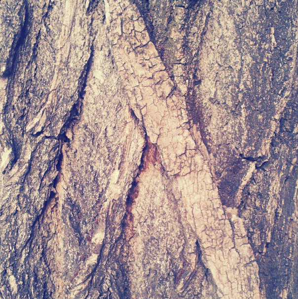 Captura de pantalla 2013 02 12 a las 13.54.50 Interesting Instagram Album