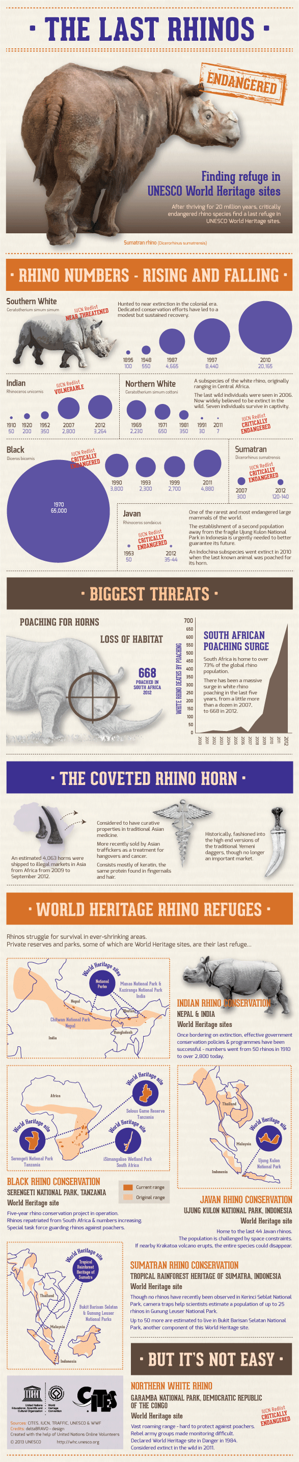 The Last Rhinos infographic by UNESCO + deltaBRAVO UNESCO RhinoIG 2013 WEB The Last Rhinos infographic by UNESCO + deltaBRAVO