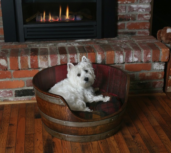 Wine Barrel Dog Bed Wine Barrel Dog Bed Wine Barrel Dog Bed