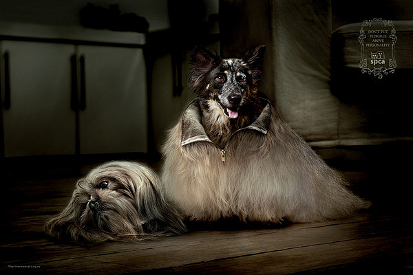 SPCA “Costume” by Jamie Toh a 12 SPCA “Costume” by Jamie Toh
