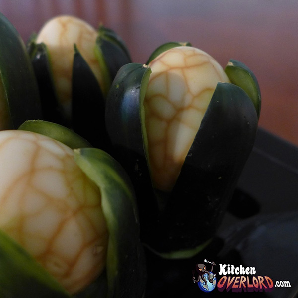 Hard Boiled Xenomorph Alien Eggs alien eggs 1 Hard Boiled Xenomorph Alien Eggs