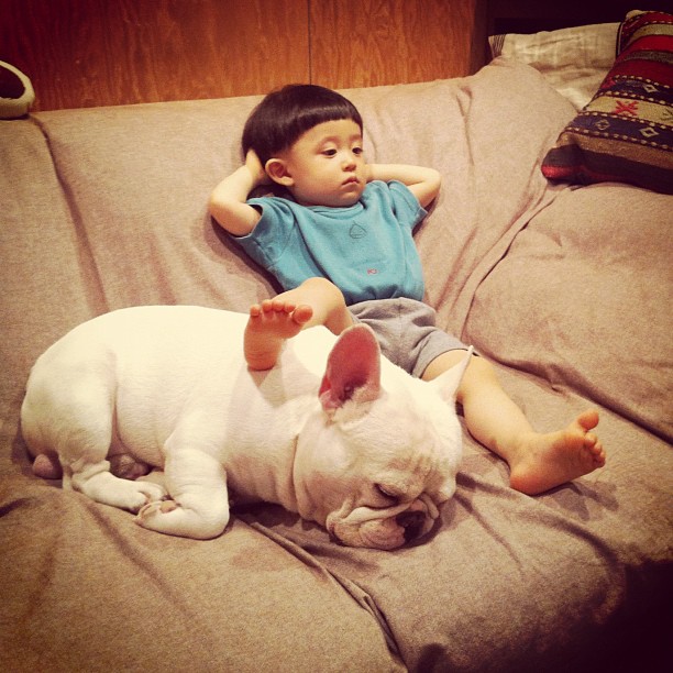 Sweet Friendship Between a Boy and His French Bulldog ayasakai 03 Sweet Friendship Between a Boy and His French Bulldog