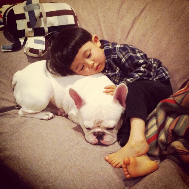 Sweet Friendship Between a Boy and His French Bulldog ayasakai 09 Sweet Friendship Between a Boy and His French Bulldog