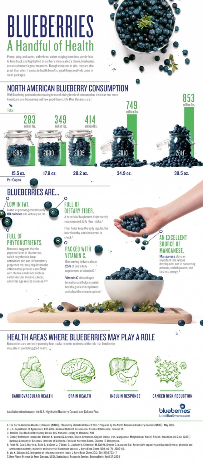 Blueberries: A Handful of Health blueberry council infographic a handful of health 650x1480 Blueberries: A Handful of Health
