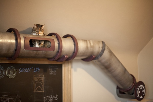 cat peering cts1 Awesome Steampunk Cat Transport Tube