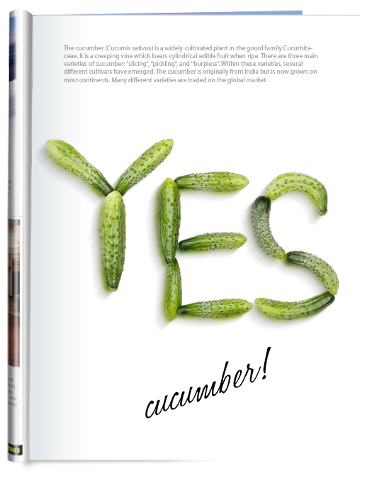 cucumber font poster1 So awesome and crunchy and fresh!!! Cucumber font.