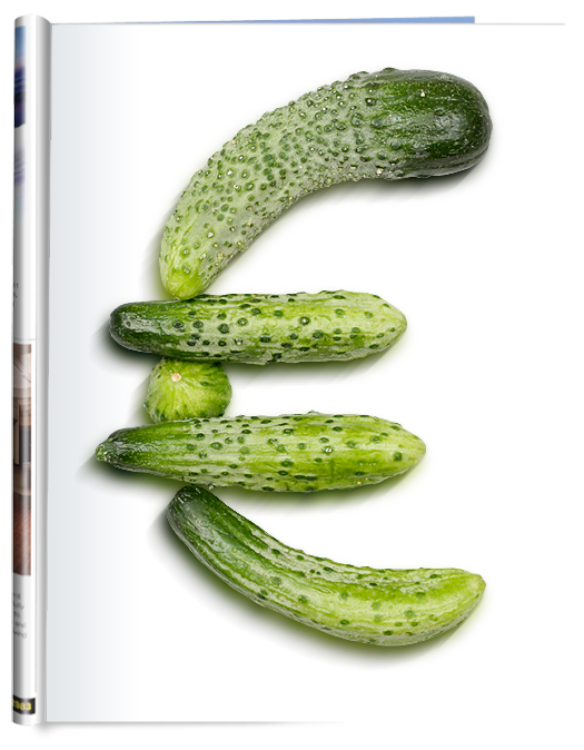 cucumber font poster2 So awesome and crunchy and fresh!!! Cucumber font.