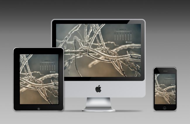 Desktop Calendar March 2013 desktop examples march 650x424 Desktop Calendar March 2013