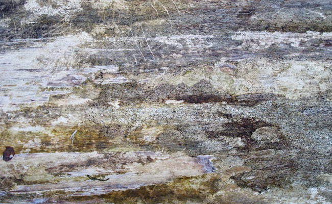 200+ Free High Quality Grungy Dirty Wood Textures dirty wood 5 200+ Free High Quality Grungy Dirty Wood Textures
