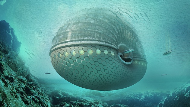  Ark Disaster Relief Home That Floats