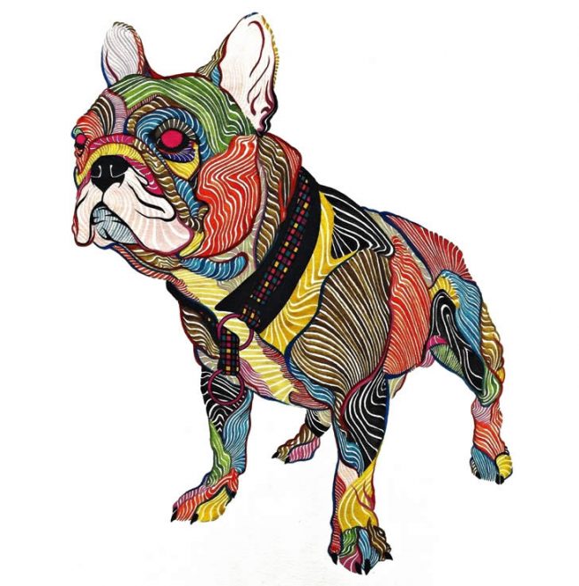 kael kasabian 04 650x657 Colorful Pets