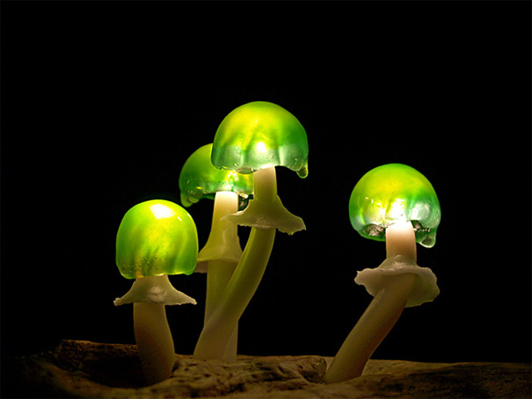 LED Mushroom Lights led mushroom lights 5 LED Mushroom Lights