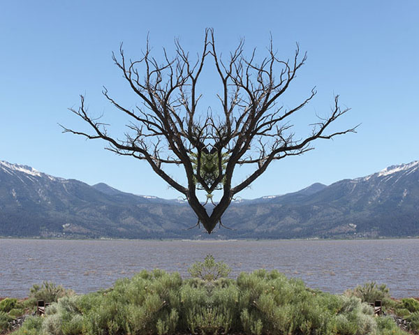 Exploring Symmetry in Mirrored Imagery mirrors traci griffin 2 Exploring Symmetry in Mirrored Imagery