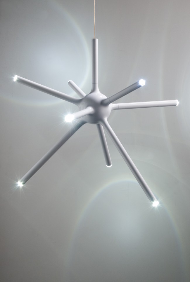 Urchin Light urchin 01 650x966 Urchin Light