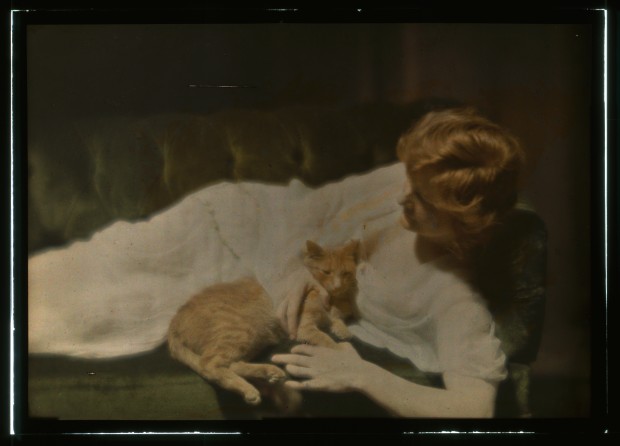 Buzzer The Cat, 1910s Buzzer The Cat 1 Buzzer The Cat, 1910s