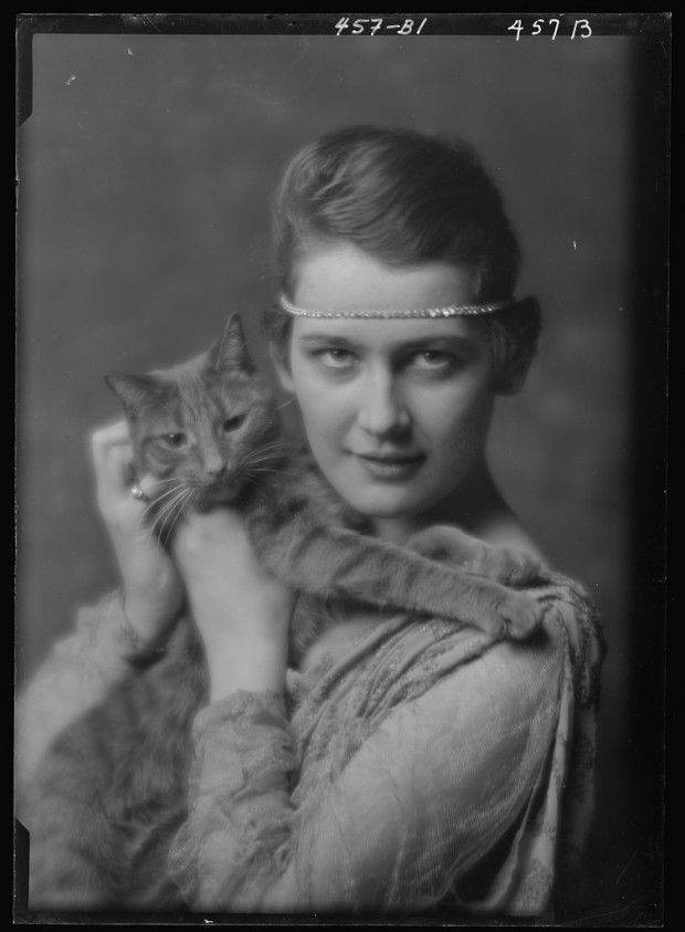 Buzzer The Cat, 1910s Buzzer The Cat 7 Buzzer The Cat, 1910s