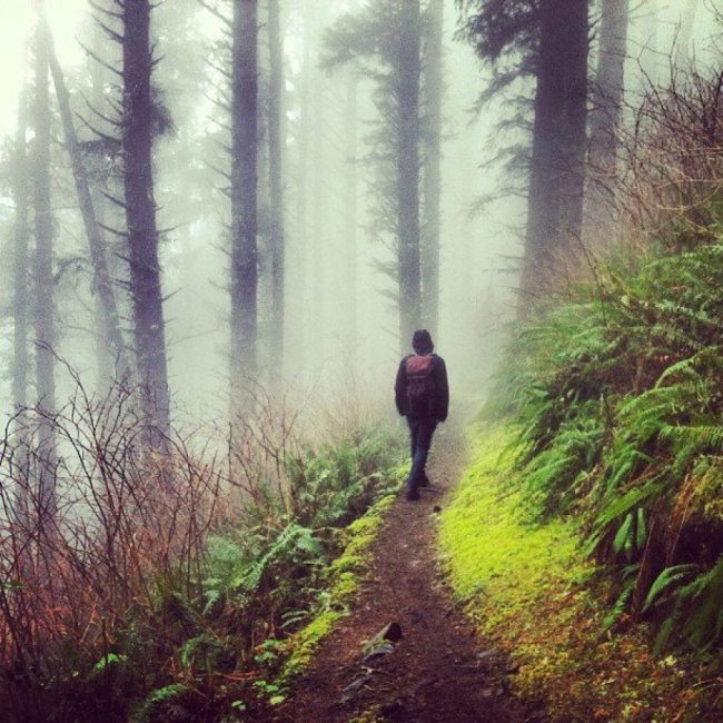 Cape Lookout by Amanda Smith for Global Yodel 650x650 Tillamook, Oregon   travel through a local lens