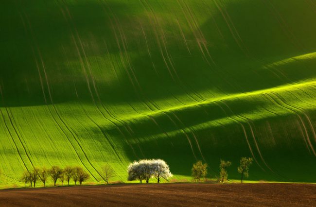 Eye Catching Landscapes For Inspiration Colorful Landscapes 25 650x426 Eye Catching Landscapes For Inspiration