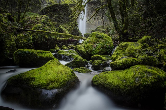 Elowah Falls by Thomas Duffy Elowah Falls by Thomas Duffy 650x430 Elowah Falls by Thomas Duffy