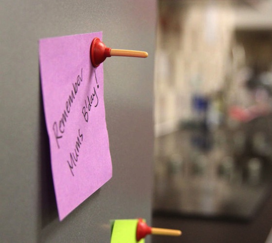 Plunger Magnets Plunger Magnets Plunger Magnets