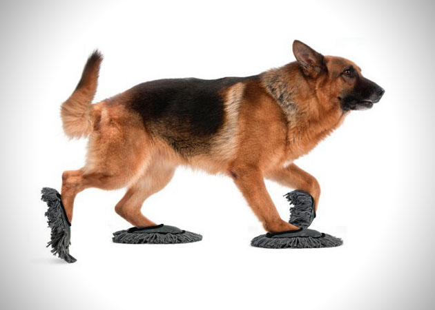 Put Fido To Work With Pet Sweep Sweep Put Fido To Work With Pet Sweep