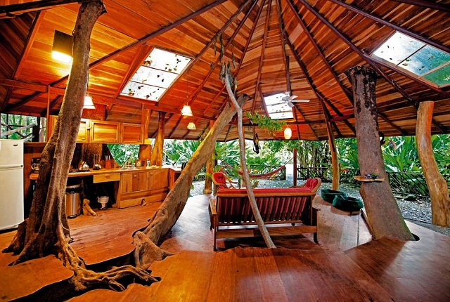The Tree House in Costa Rica The Most Beautiful Summer Resorts