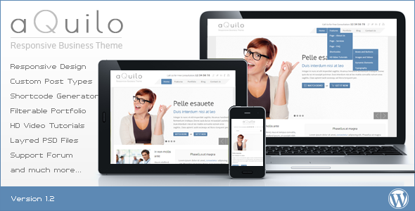 WordPress Corporate Themes, February 2013 aquilo responsive wordpress theme WordPress Corporate Themes, February 2013