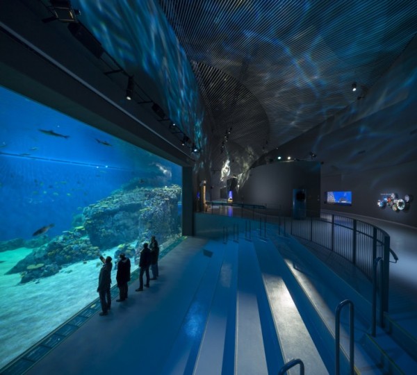 Denmark Opens Largest Aquarium In Northern Europe blueaquarium 3 600x540 Denmark Opens Largest Aquarium In Northern Europe