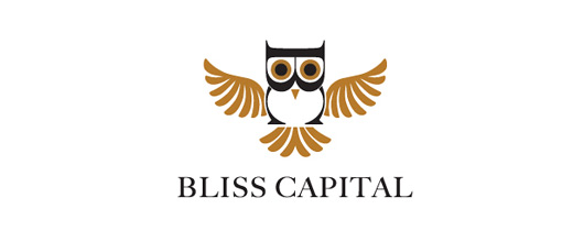 creative owl logos 02 CREATIVE OWL LOGOS FOR INPIRATION