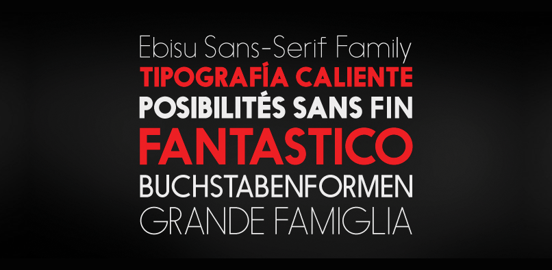 ebisu 3 95% OFF EBISU FONT FAMILY