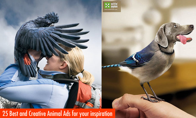 25 Best and Creative Animal themed Print Ads for your inspiration f135 25 Best and Creative Animal themed Print Ads for your inspiration