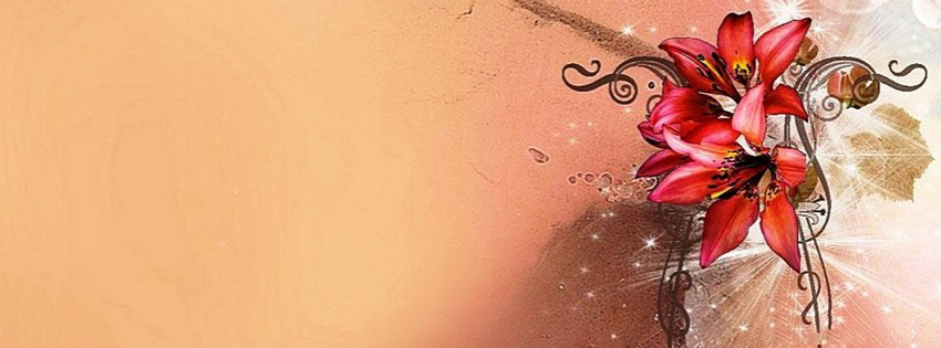 Beautiful Facebook Covers flower light artwork fb timeline cover1 Beautiful Facebook Covers