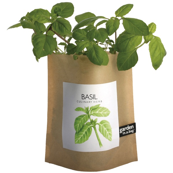 Garden In A Bag Garden In A Bag