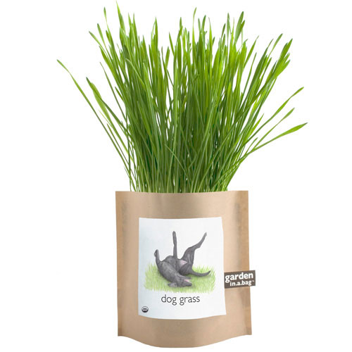 Garden In A Bag Garden In A Bag