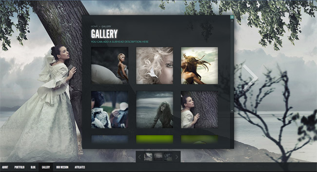 gleam wp theme Best Magazine, Porftolio & Photograph Wordpress Themes 2013