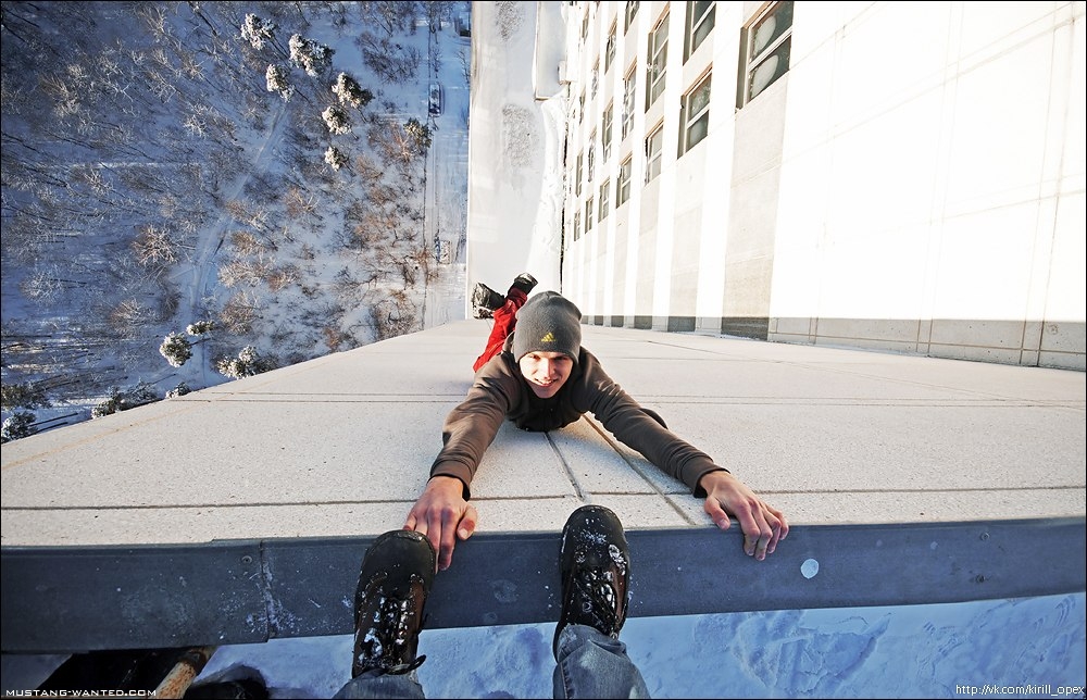 mustang wanted 31 Heart Stopping Photos of Daredevil Mustang Wanted