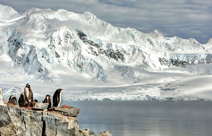 Photo contest by Smithsonian Magazine s s21 12215697 Photo contest by Smithsonian Magazine